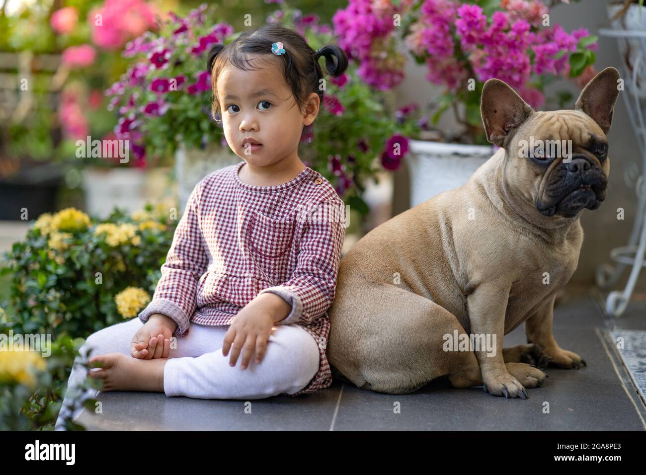 Adorable little girl sitting in a park with her bulldog Stock Photo - Alamy