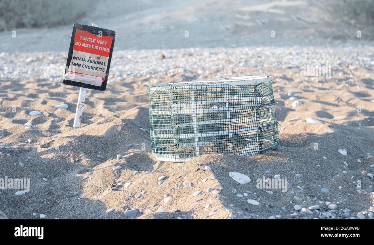 Cage over sea turtle nest installed by volunteers for protection and warning sign in English and Greek at Pissouri bay beach, Cyprus Stock Photo