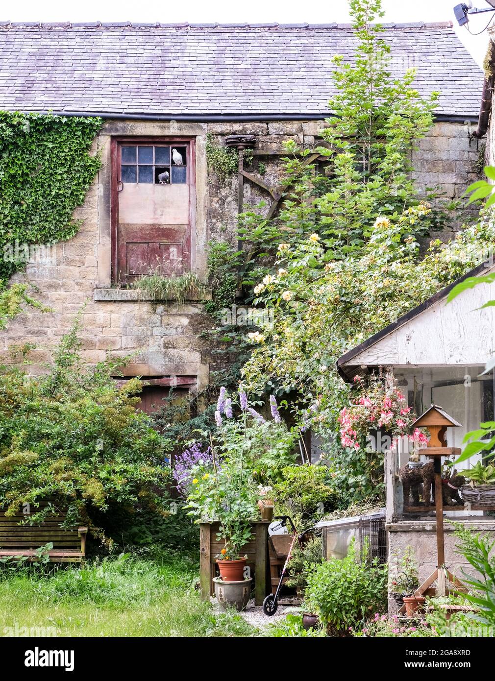 A cottage garden in the Derbyshire plague village of Eyam. Colourful flowers stand against stone built walling. Stock Photo