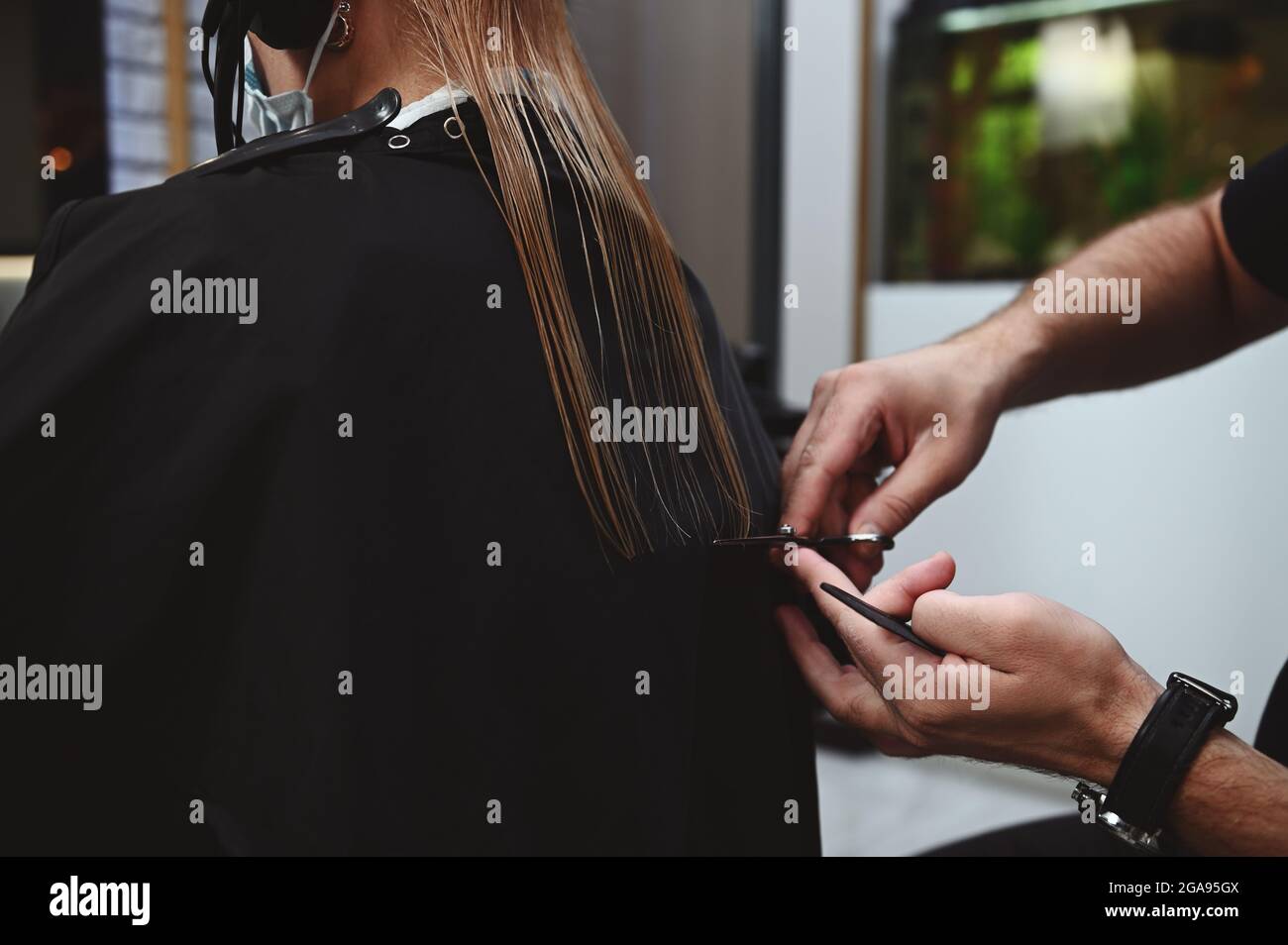 Closeup haircut by a professional hair stylist. Hairdresser cutting