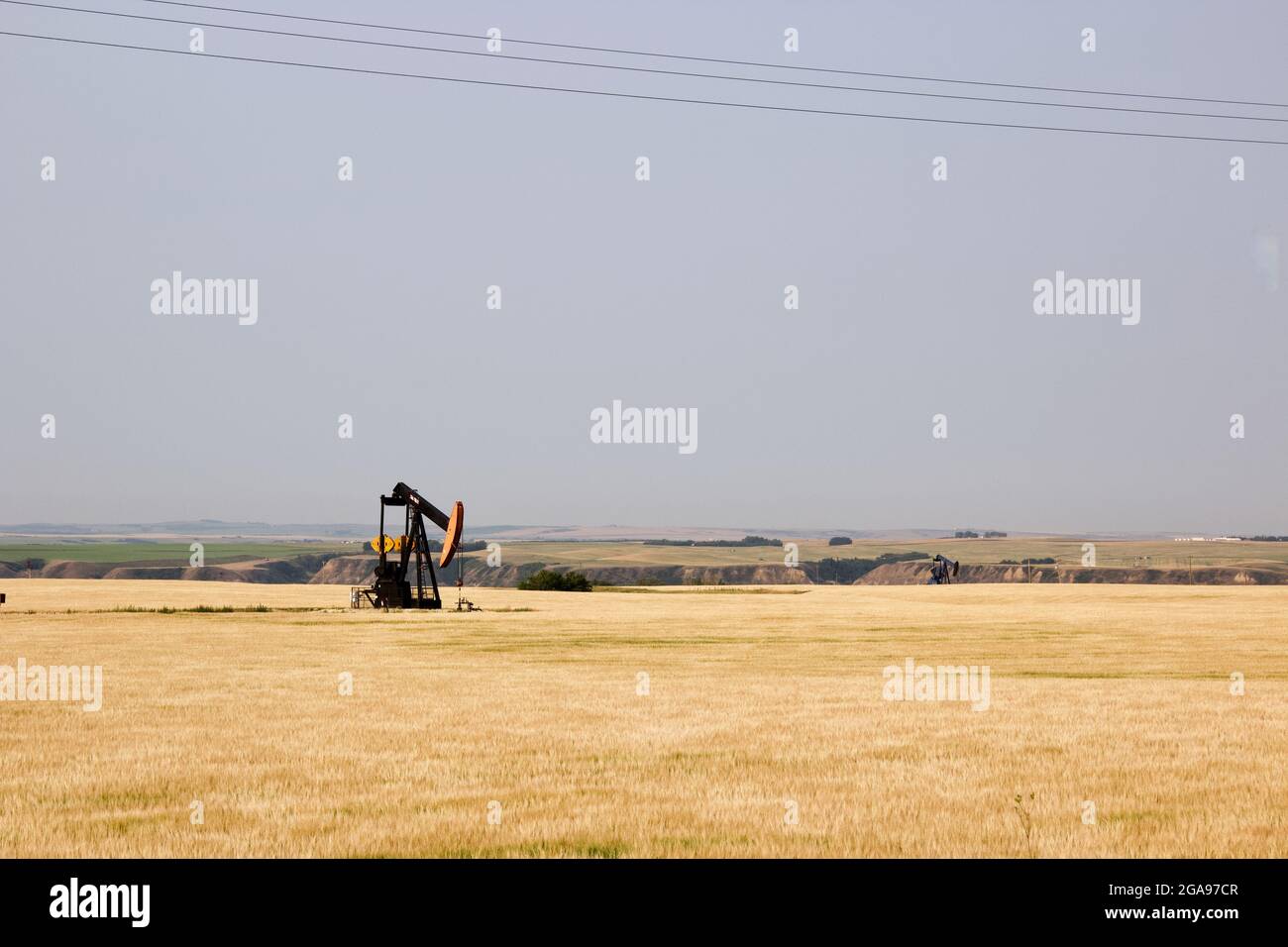 Oil rig, yellow field, rural Alberta Stock Photo Alamy