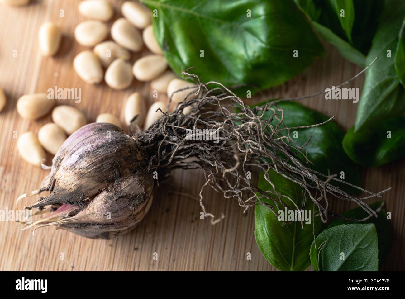 Garlic Head on a Wood Table with Pine Nuts and Basil Stock Photo