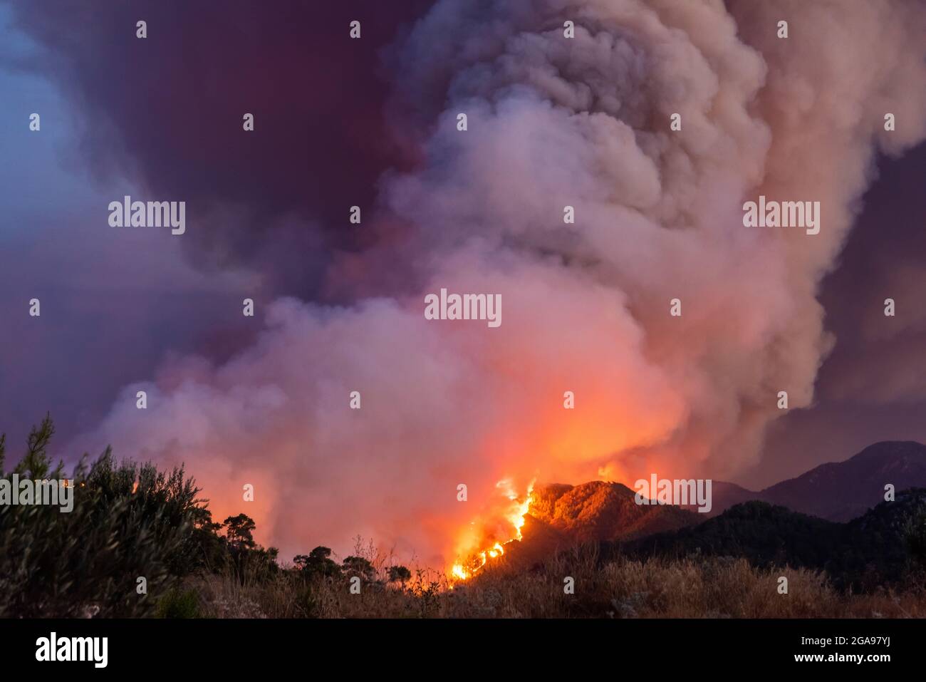 Forest fire near Marmaris resort town of Turkey. Stock Photo