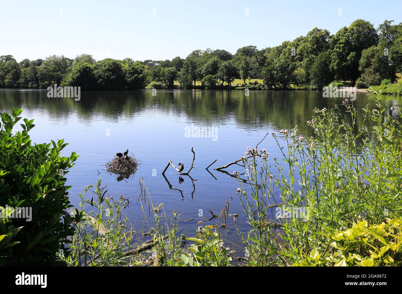 Grovelands Park Lake Hi-res Stock Photography And Images - Alamy