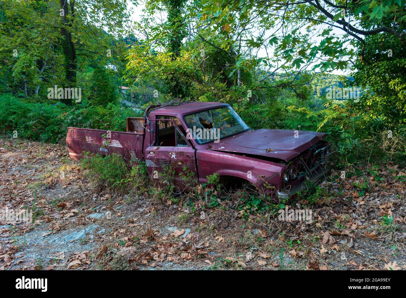 Old crashed car in the forest, Greece Stock Photo