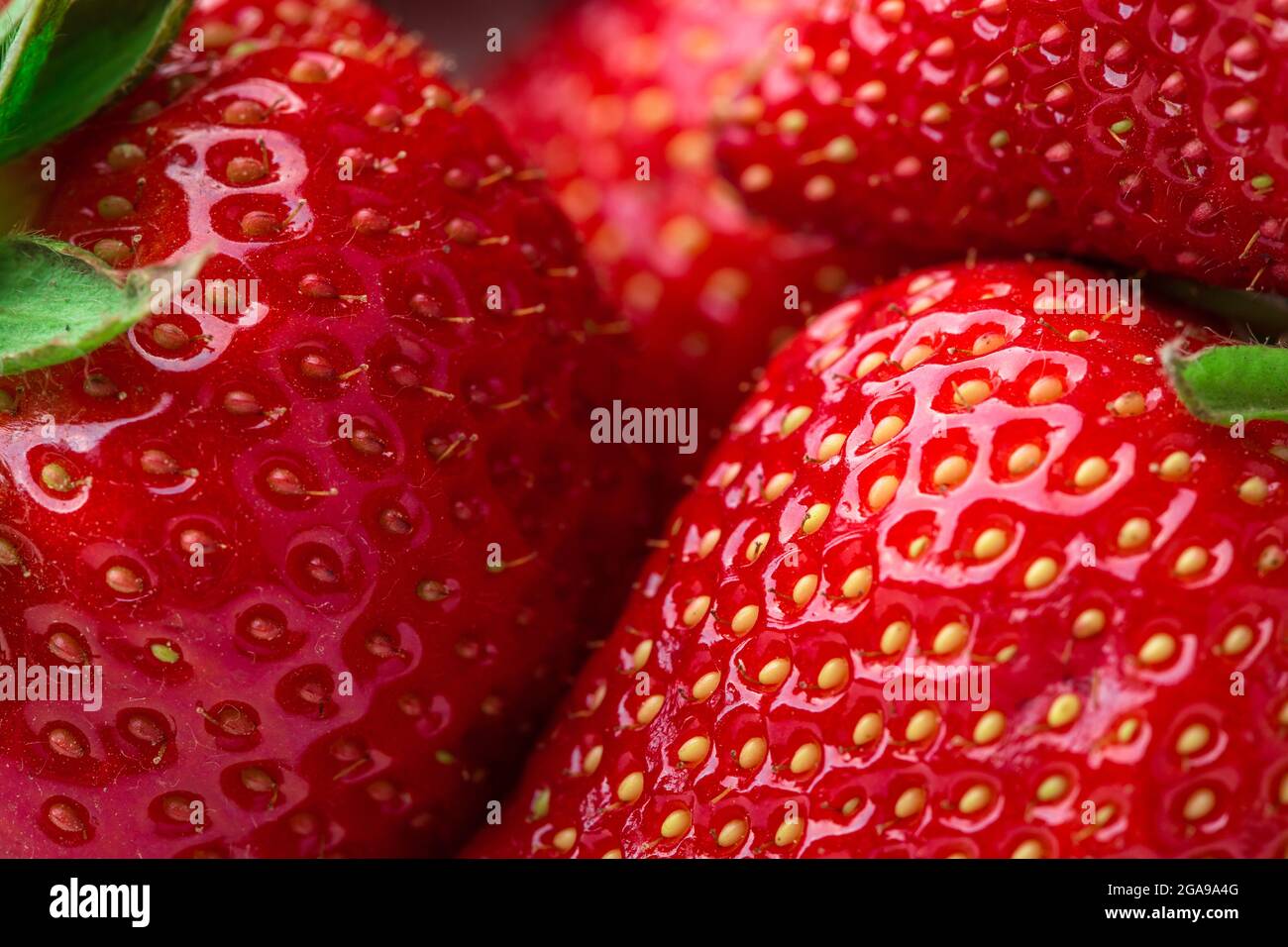 Fresh strawberry background. Ripe in close-up Stock Photo - Alamy