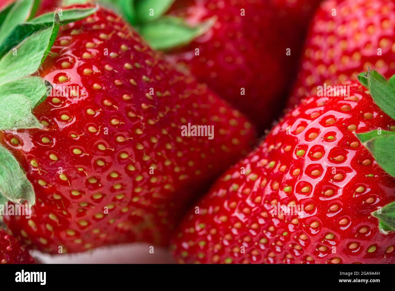 Fresh strawberry background. Ripe in close-up Stock Photo - Alamy