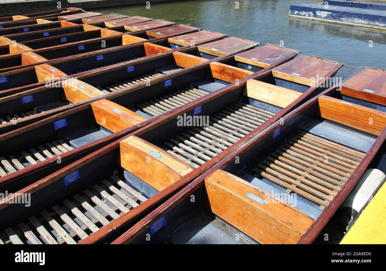 A group of wooden punts tied together on the river Cam in Cambridge - England. Punting is one of the university cities iconic activities. Stock Photo