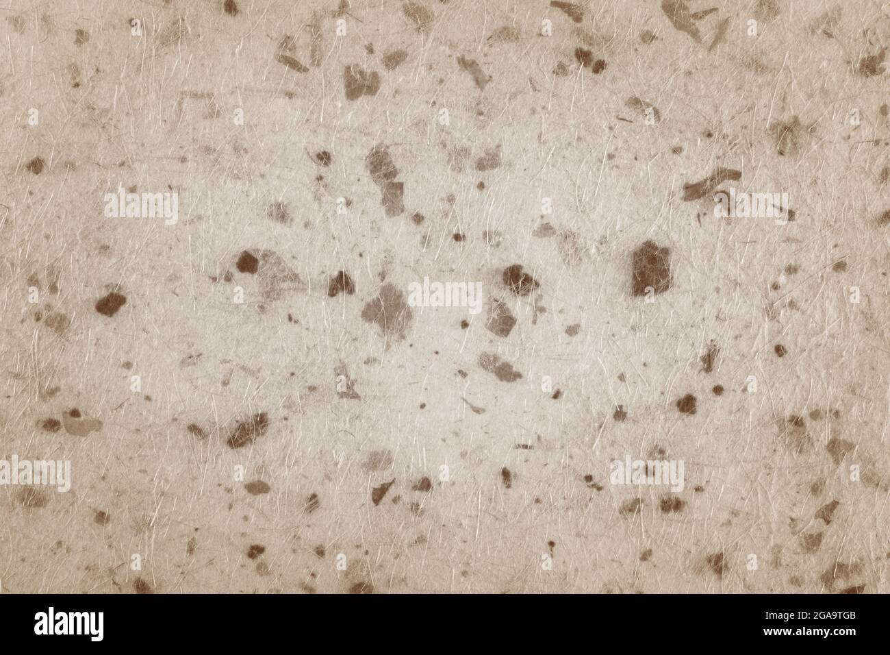 Closeup of handmade paper texture vintage background with leaf Stock ...