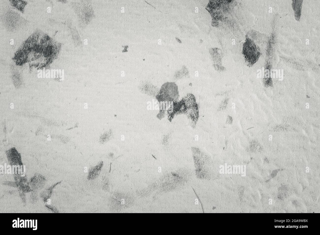 Closeup of handmade paper texture vintage background with leaf. Black ...