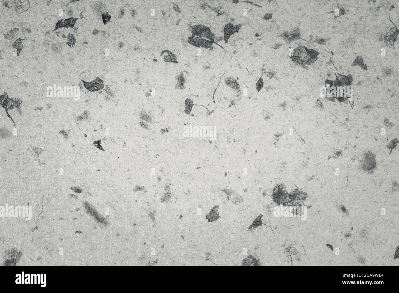Closeup of handmade paper texture vintage background with leaf. Black ...