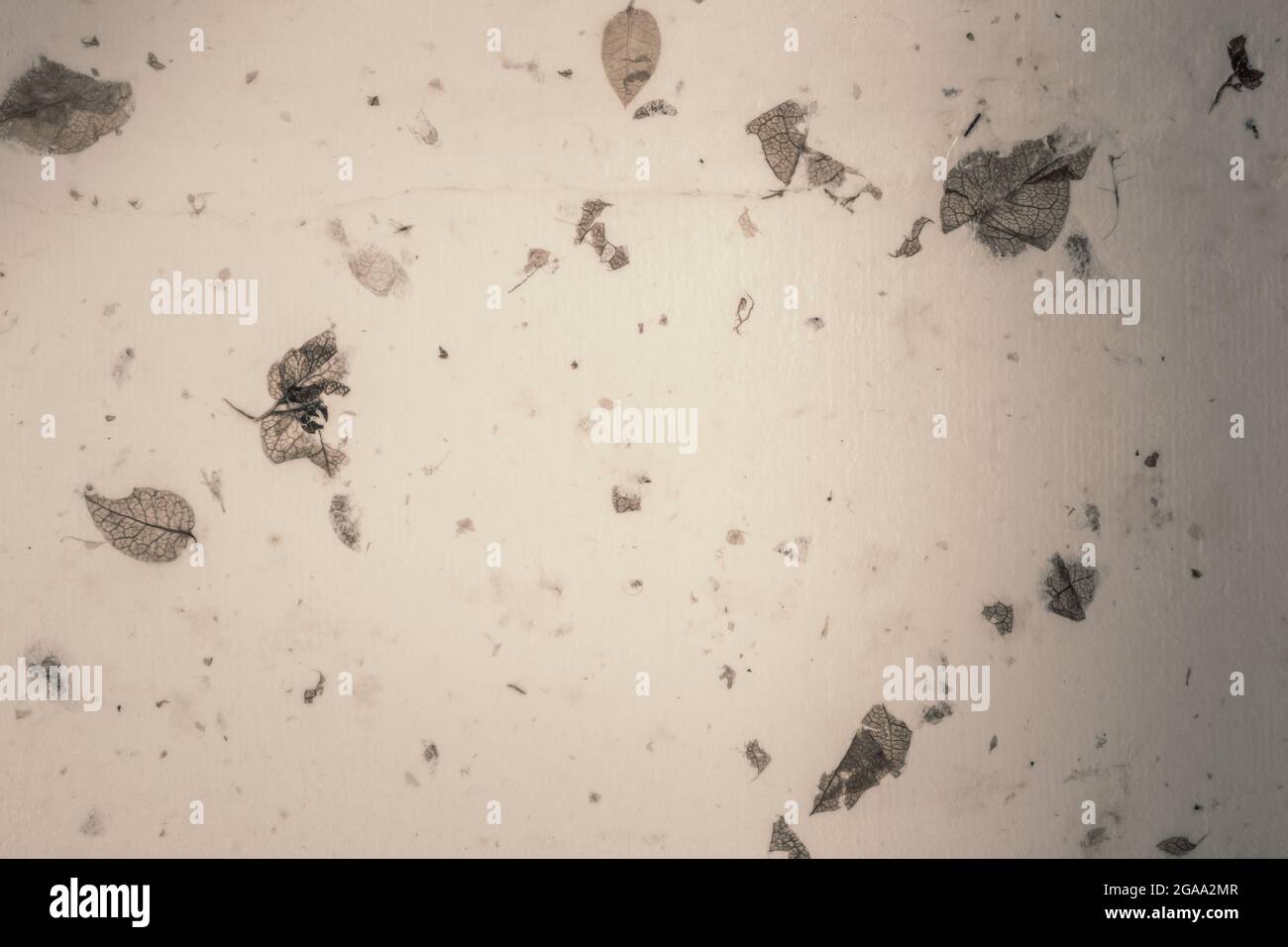 Closeup of handmade paper texture vintage background with leaf Stock ...