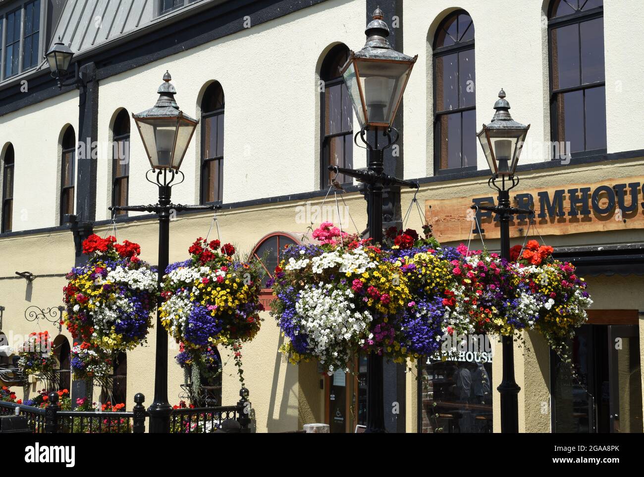 Hanging flower baskets on old fashioned lamps in Bastion Square in