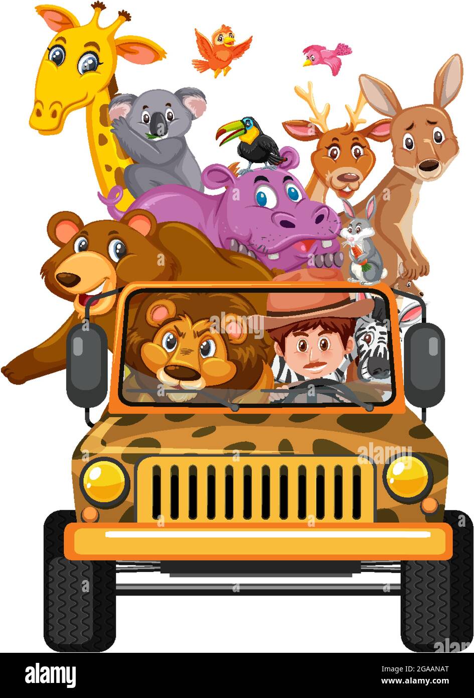 Wild animals in the jeep car isolated on white background illustration  Stock Vector Image & Art - Alamy