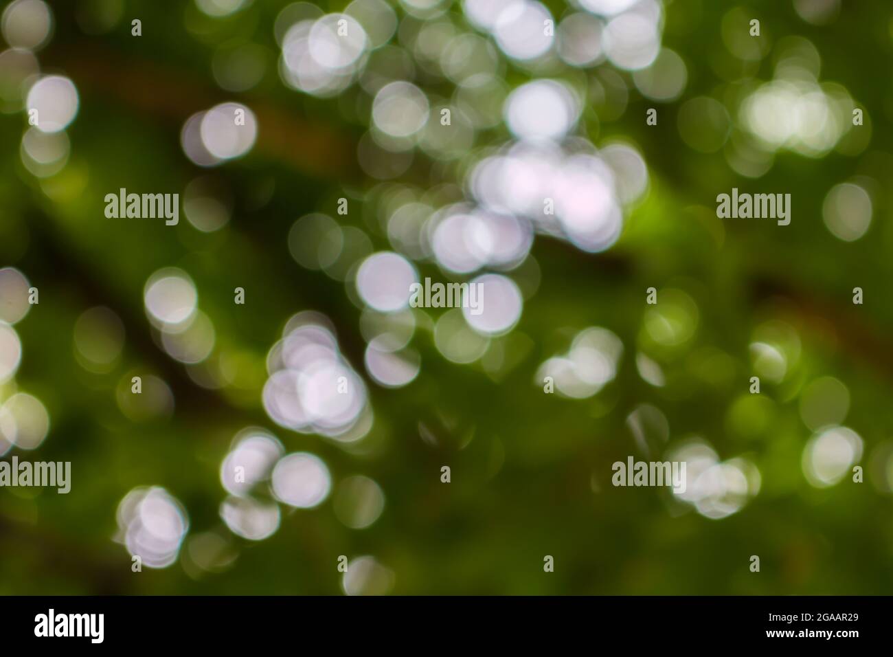 Nature backgroun bokeh natural hi-res stock photography and images - Alamy