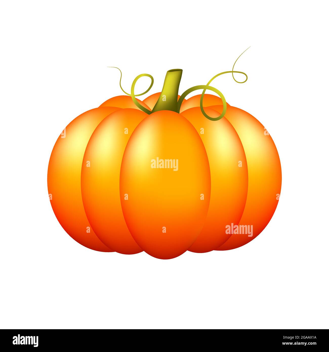 Cute ripe pumpkin isolated on a white background. Orange appetizing bright pumpkin. Autumn harvest. Vegetable icon. Farm badge. Stock Vector