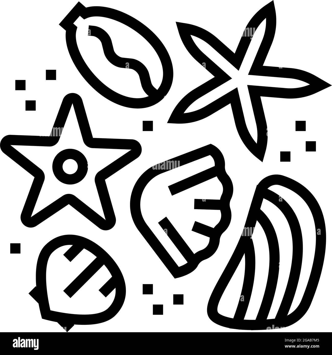 sea star and shell resin art line icon vector illustration Stock Vector ...