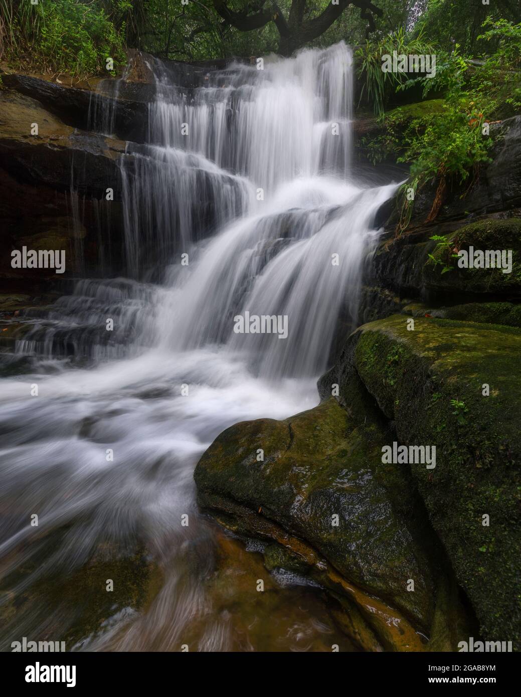 rocks in the forest with a waterfall Stock Photo - Alamy