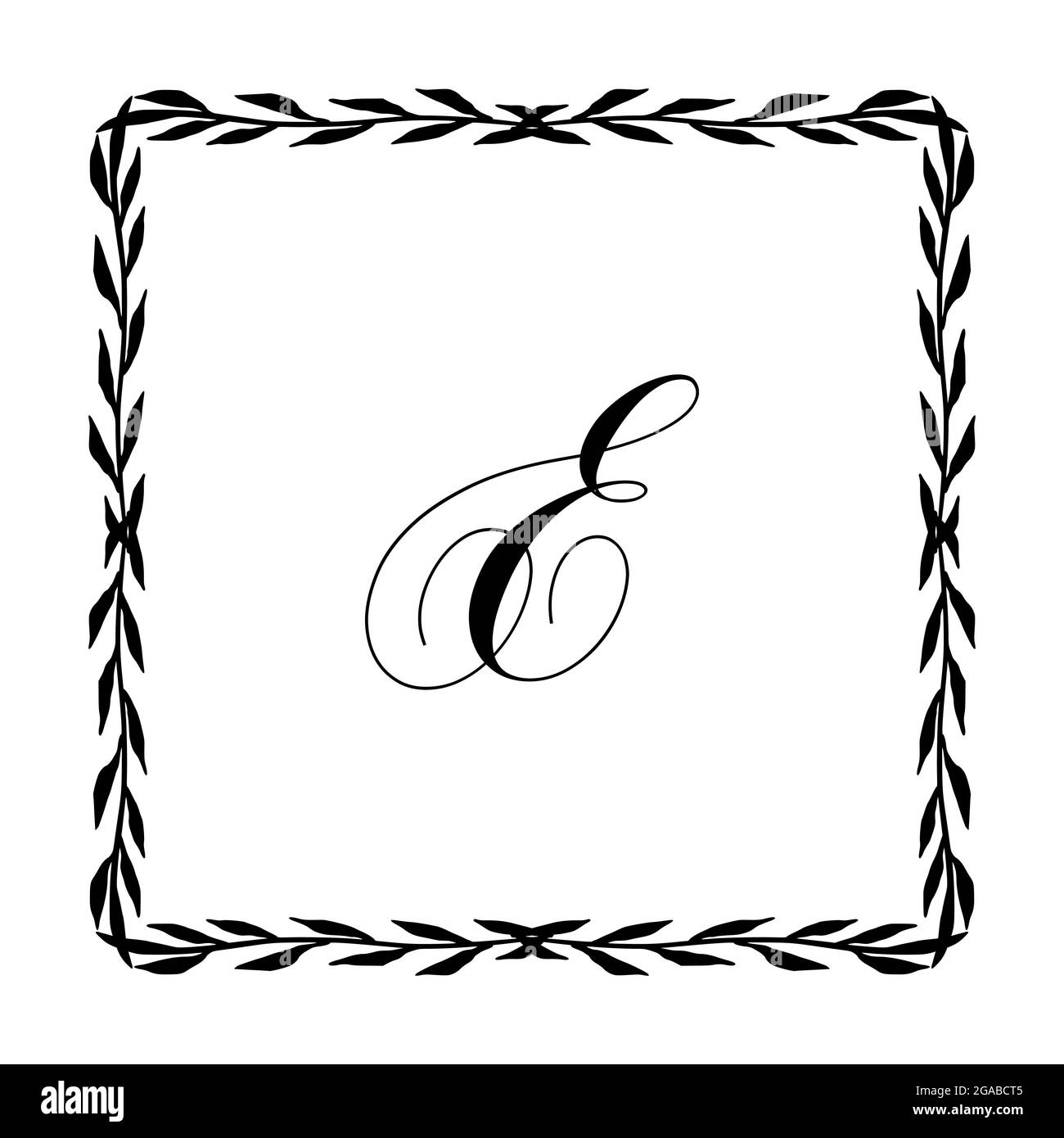 Beautiful Vintage Monogram Frame. Vector Ornate Calligraphic Design ...