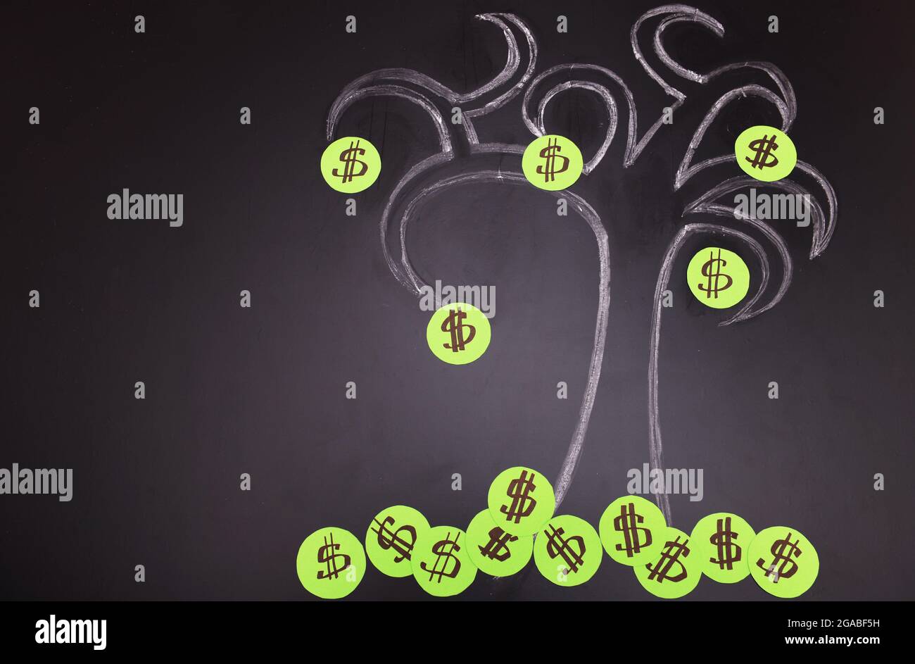 Chalk dollar tree drawing on blackboard background Stock Photo Alamy