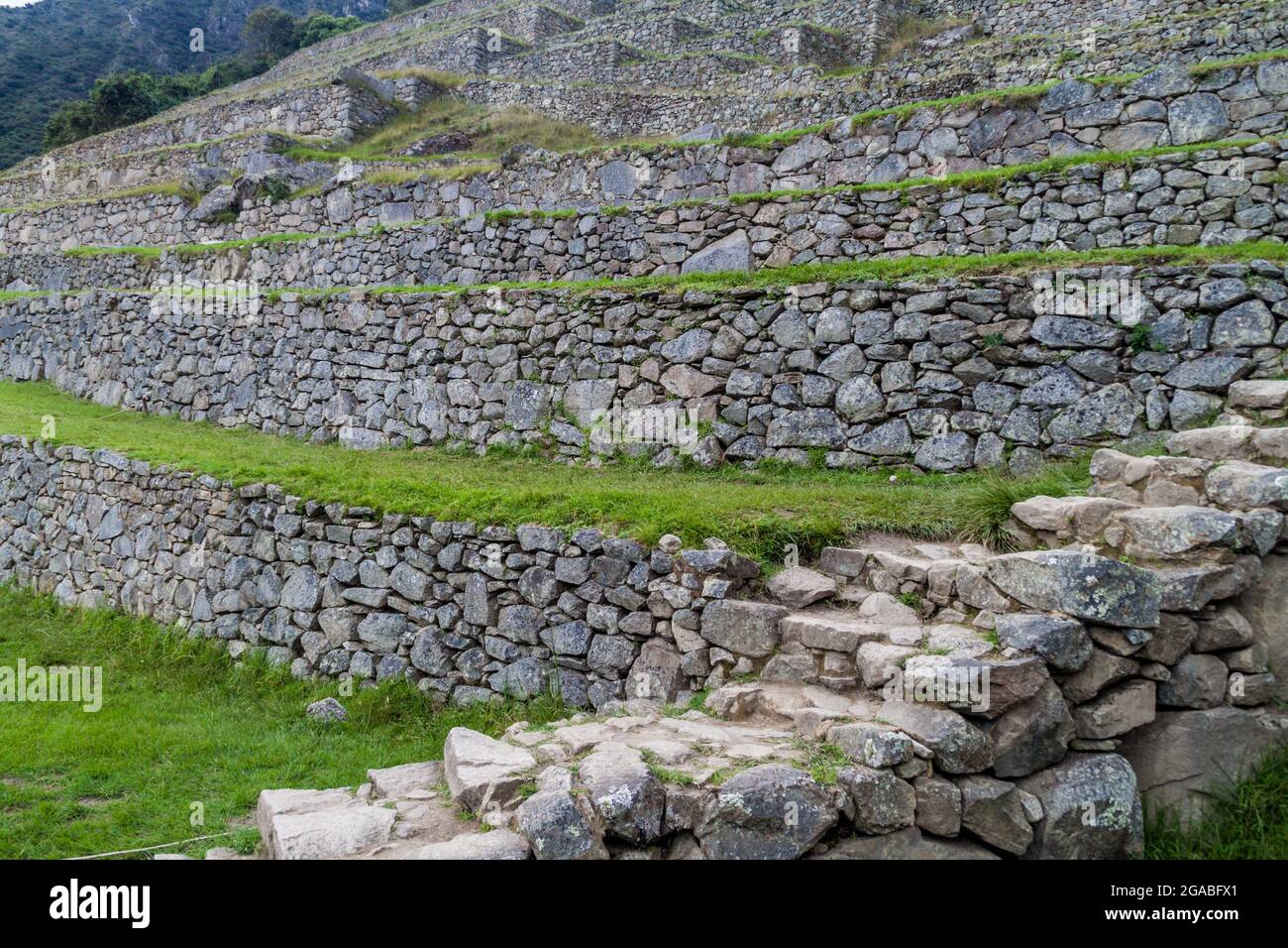 Former agricultural terraces at Machu Picchu ruins, Peru Stock Photo ...
