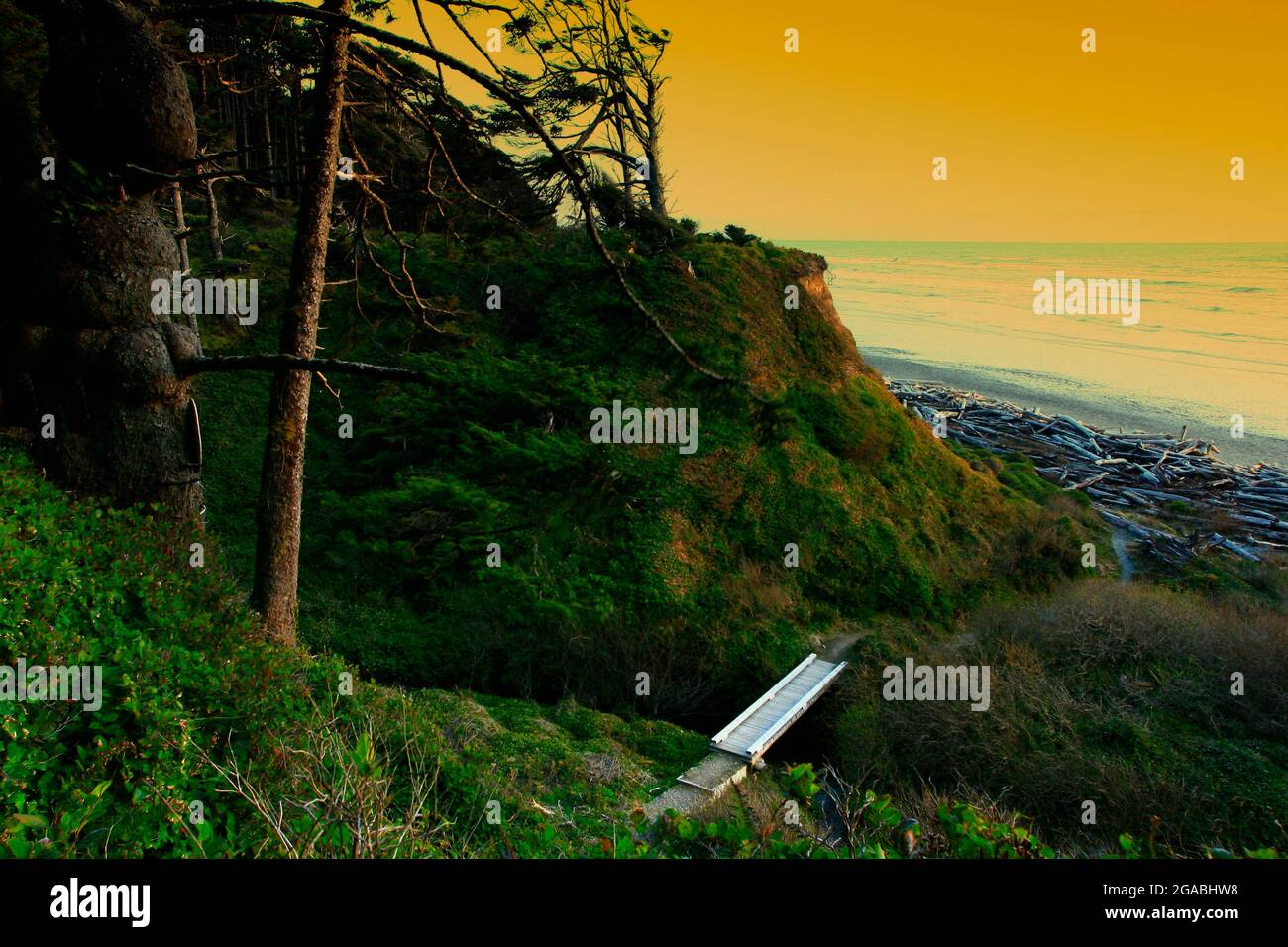 a exterior of an Pacific Northwest forest trail Stock Photo Alamy
