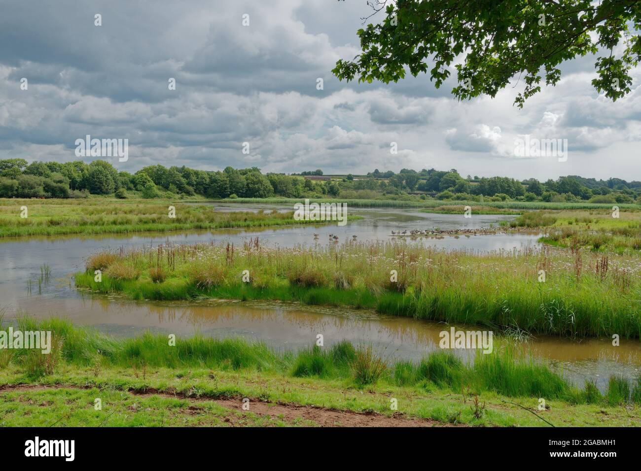 Bowling Green Nature Reserve In Topsham Stock Photo