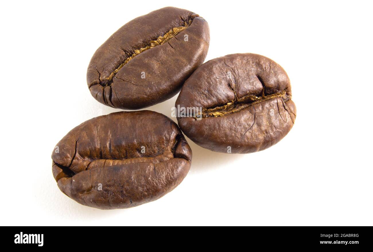 3 coffee beans on a white background. Arabica isolated close up Stock ...