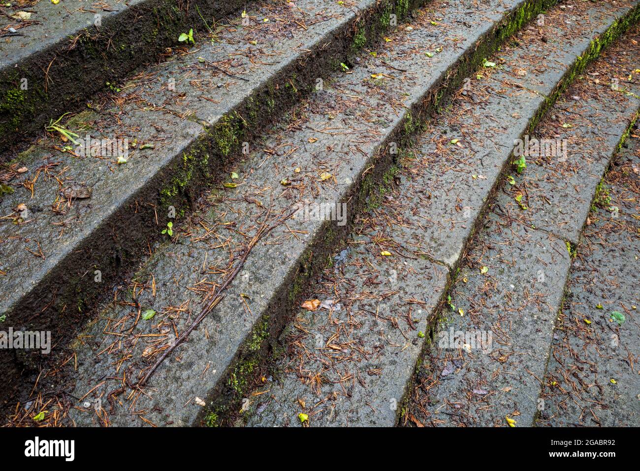 Wet granite stone steps covered in dead slippery leaves Stock Photo Alamy