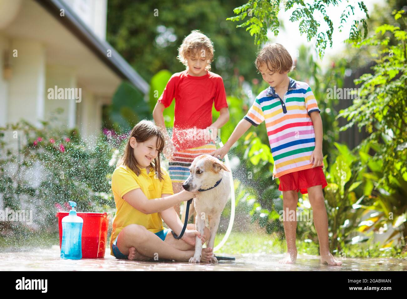 How Do You Wash A Dog That Is Scared Of Water