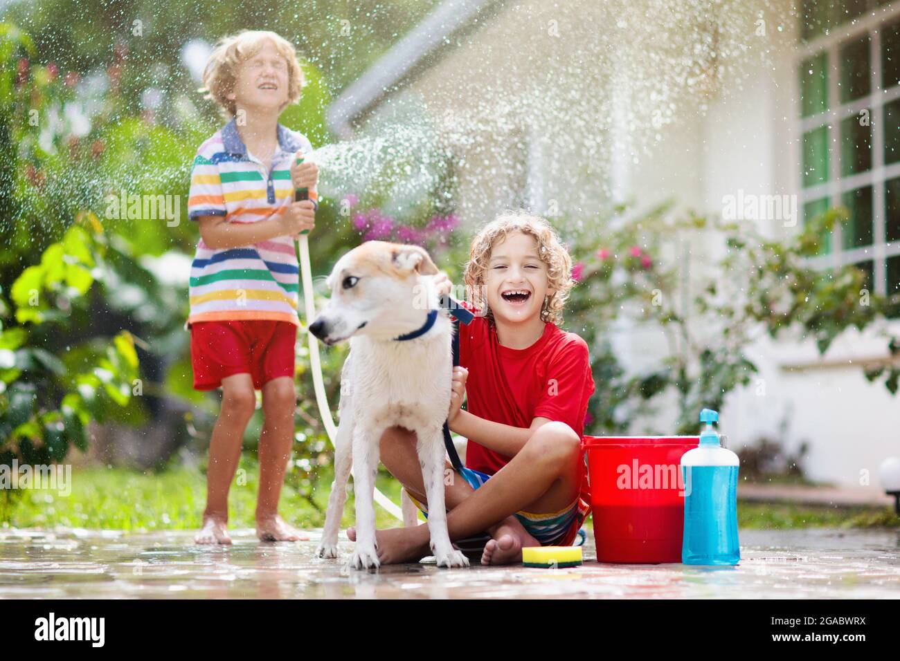 Kids wash dog in summer garden. Water hose and sprinkler fun for kid