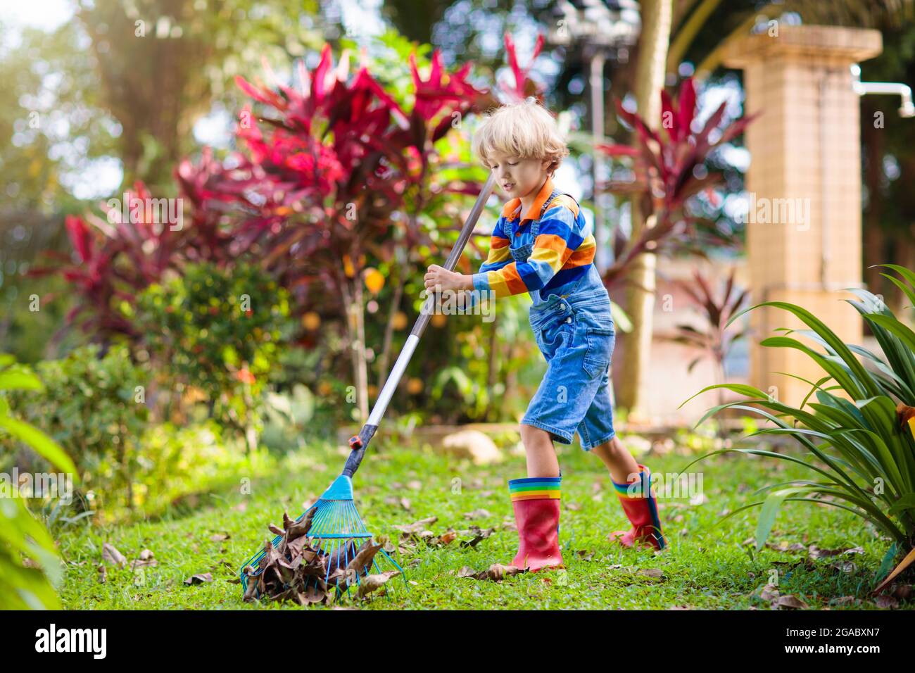 Child and rake in autumn garden. Kid raking leaves in fall. Gardening