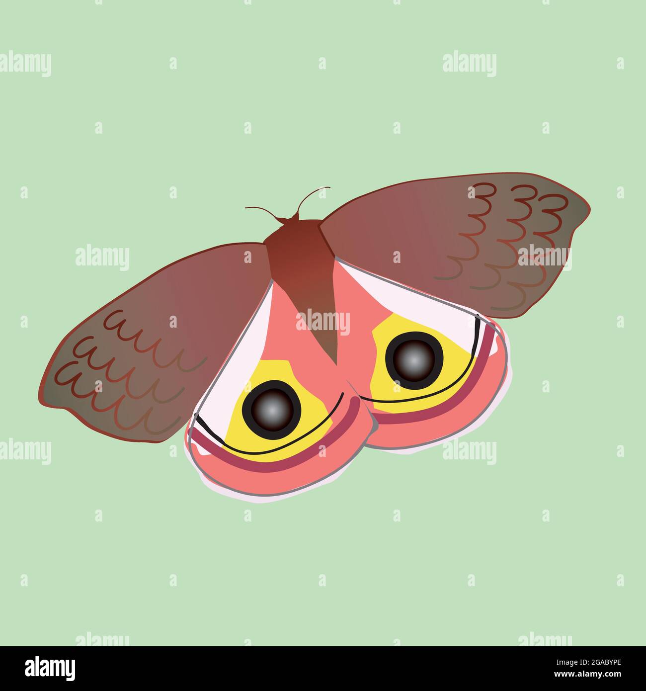 A vector illustration of an io moth. It is a male specimen. The background is pale green. Stock Vector