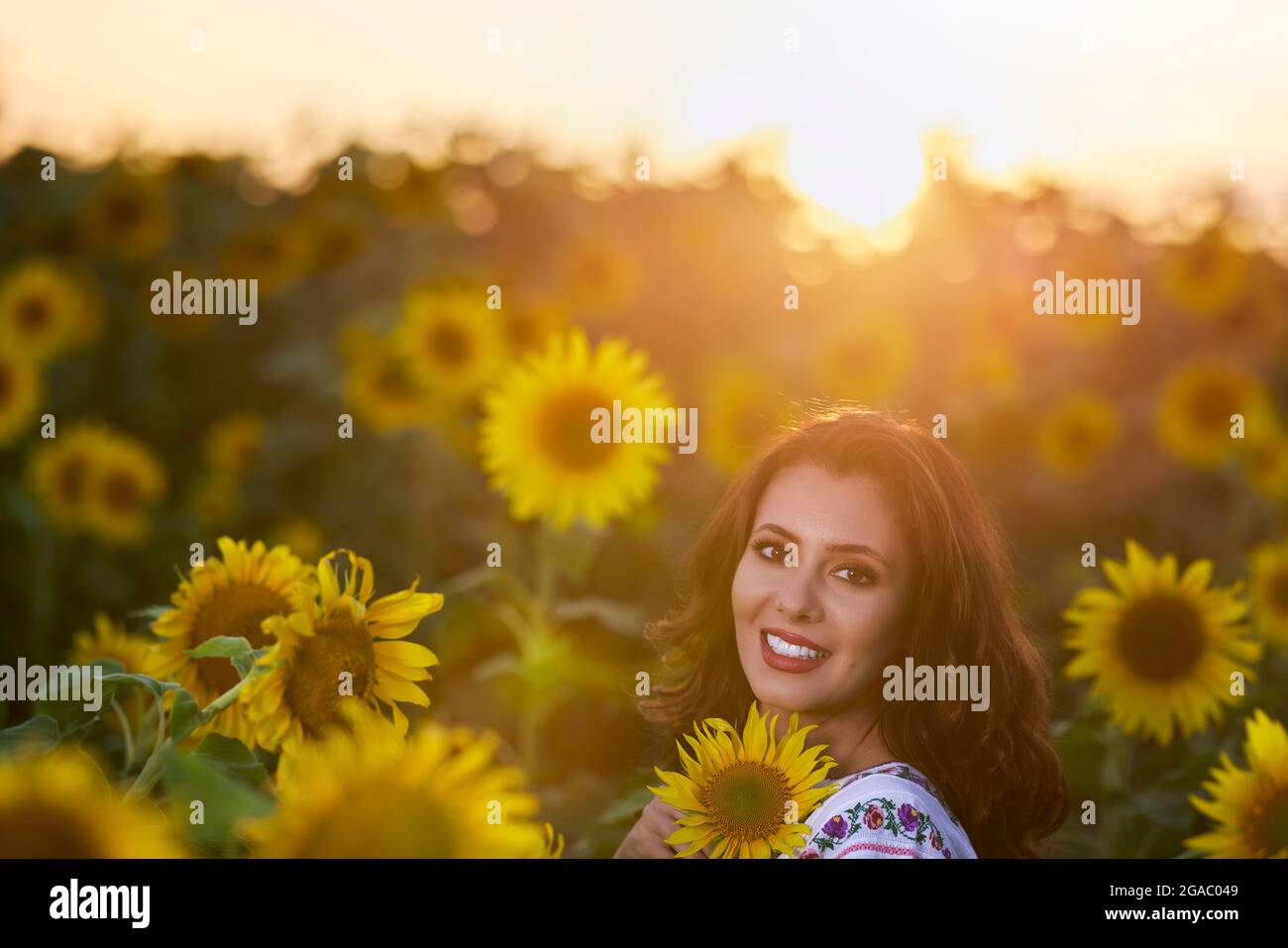 Beautiful woman enjoying nature in the sunflower field at sunset ...