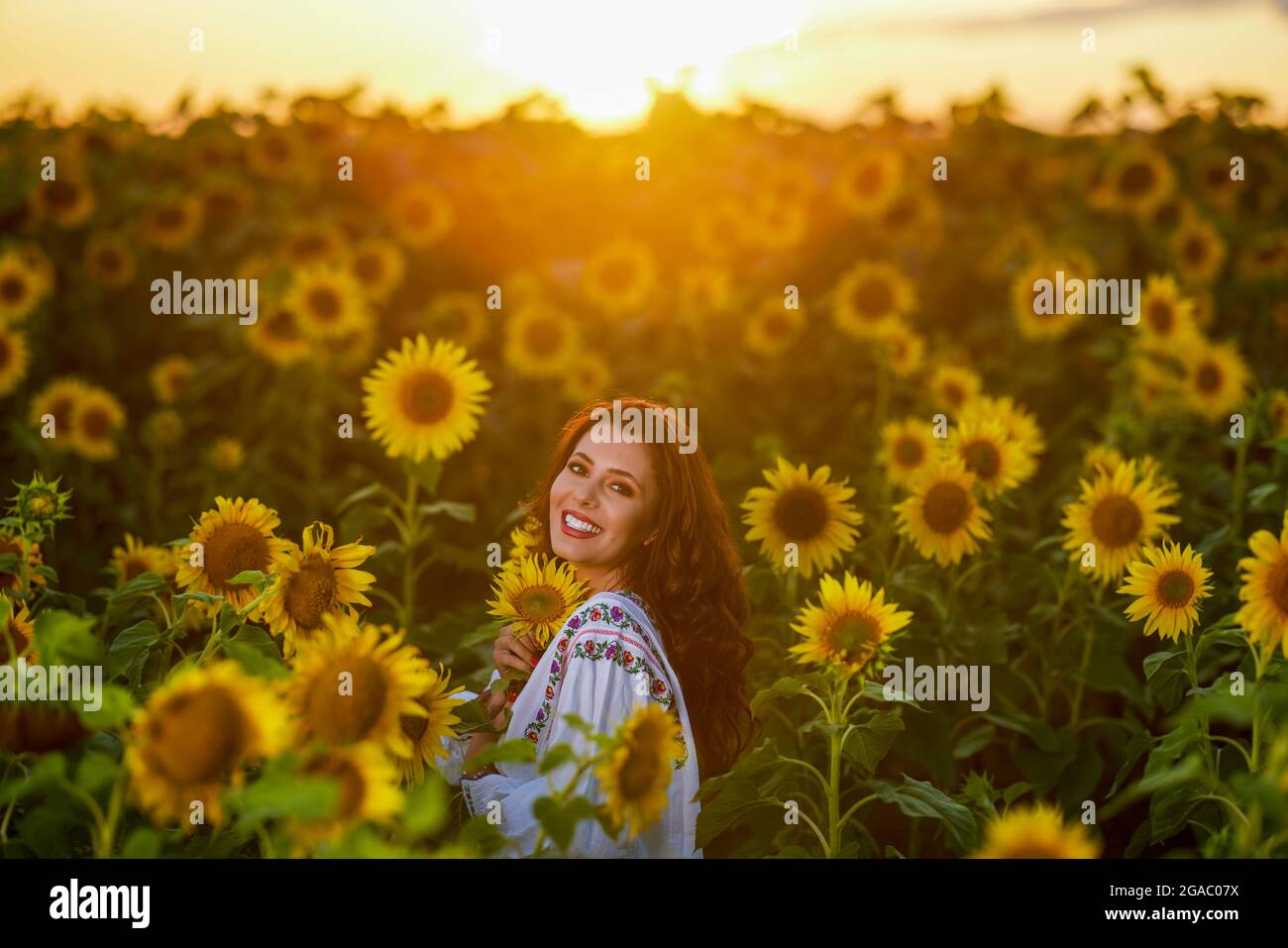 Beautiful woman enjoying nature in the sunflower field at sunset ...