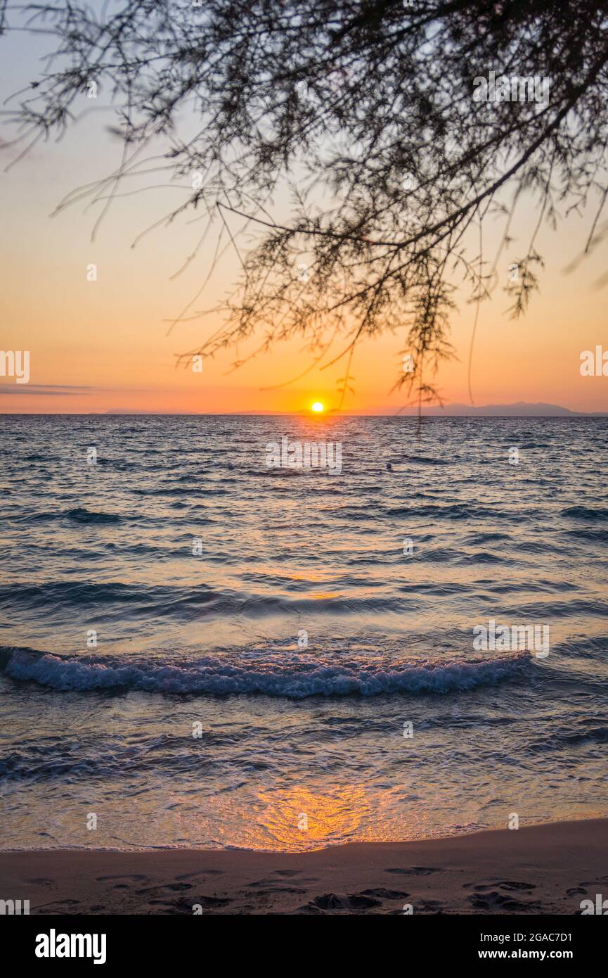 Sunrise over the sea on the beach. Tree branch foreground. Torre Dell'Orso Salento coast, Apulia. Italy, Puglia. Bright orange colors. No people. Stock Photo