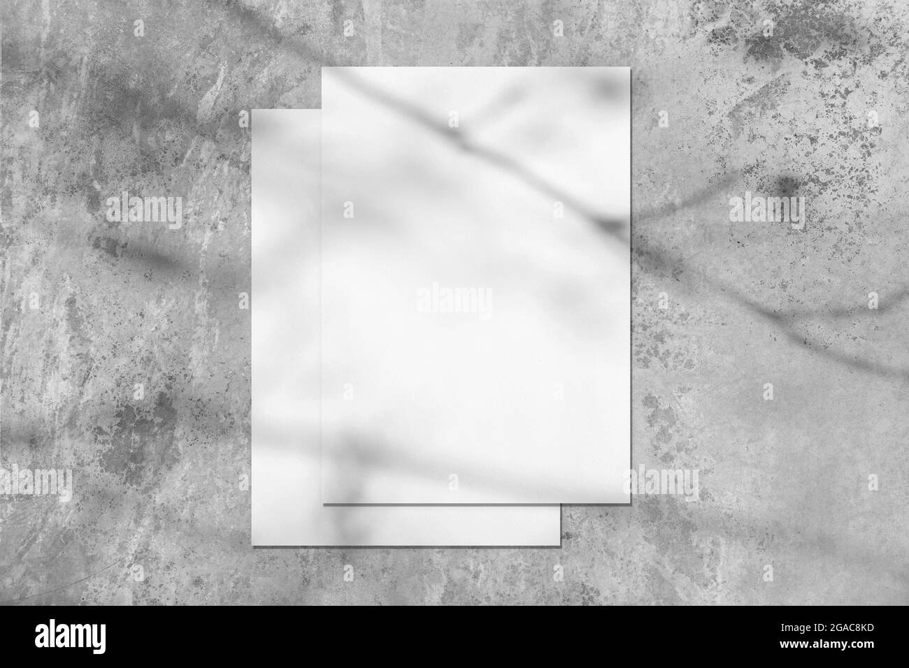 Two empty white rectangle poster mockups with tree shadow Stock Photo
