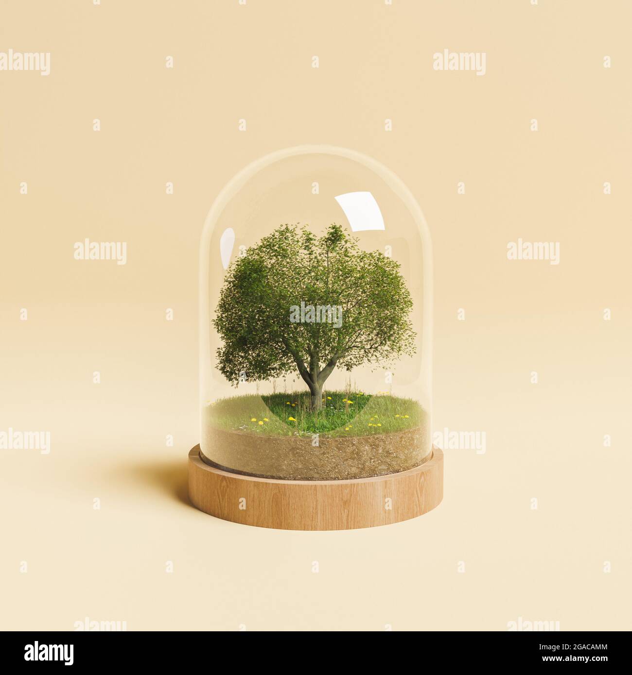 tree with small meadow inside a glass dome on beige background. concept ...