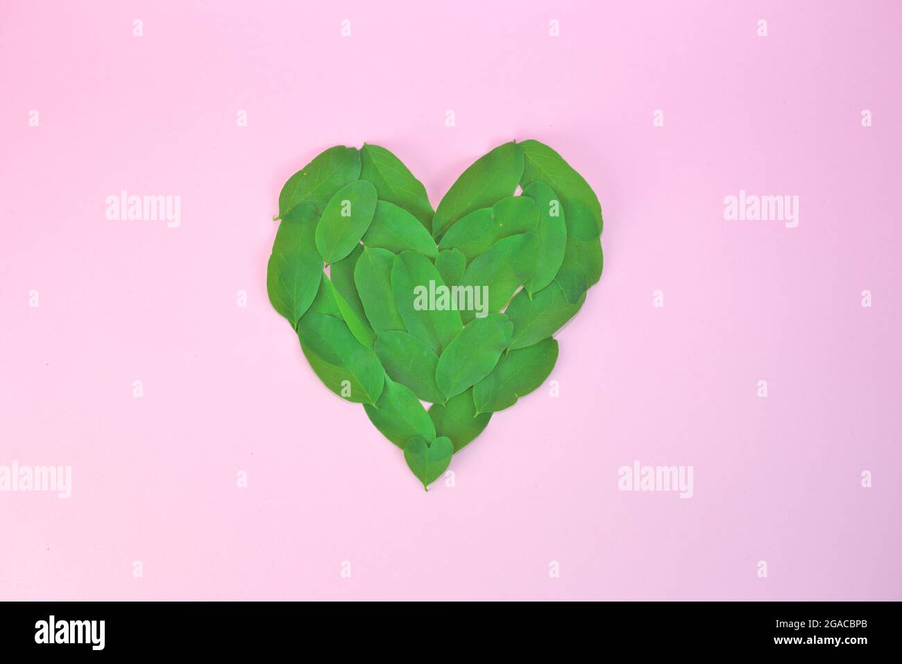 Heart made of green leaves isolated on a pink background Stock Photo ...