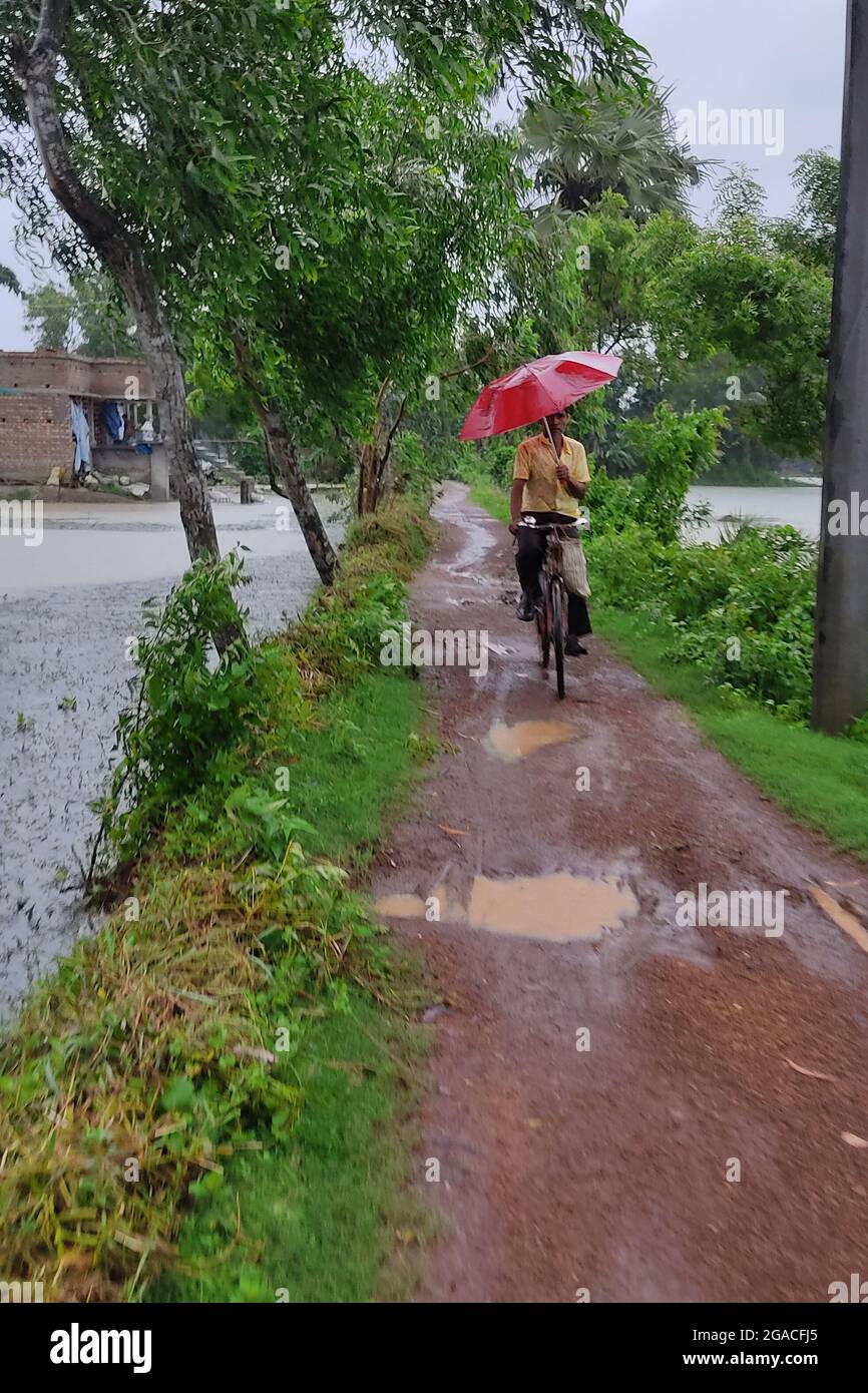 Habichak, East Midnapure; the rainy season paddy cultivation is ...