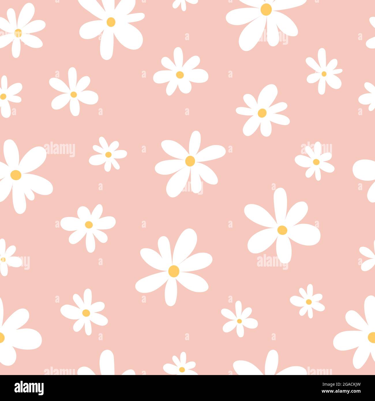 Seamless pattern of white chamomiles on a pink background in a flat style Stock Vector