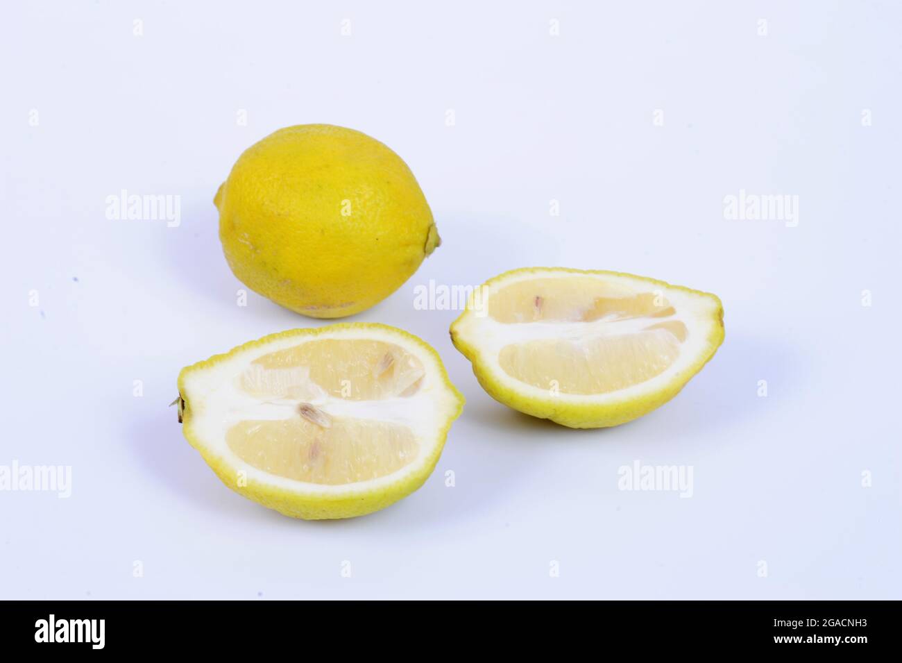 The lemon, Citrus limon, is a species of small evergreen tree in the flowering plant family Rutaceae, native to South Asia, primarily Northeast India. Stock Photo
