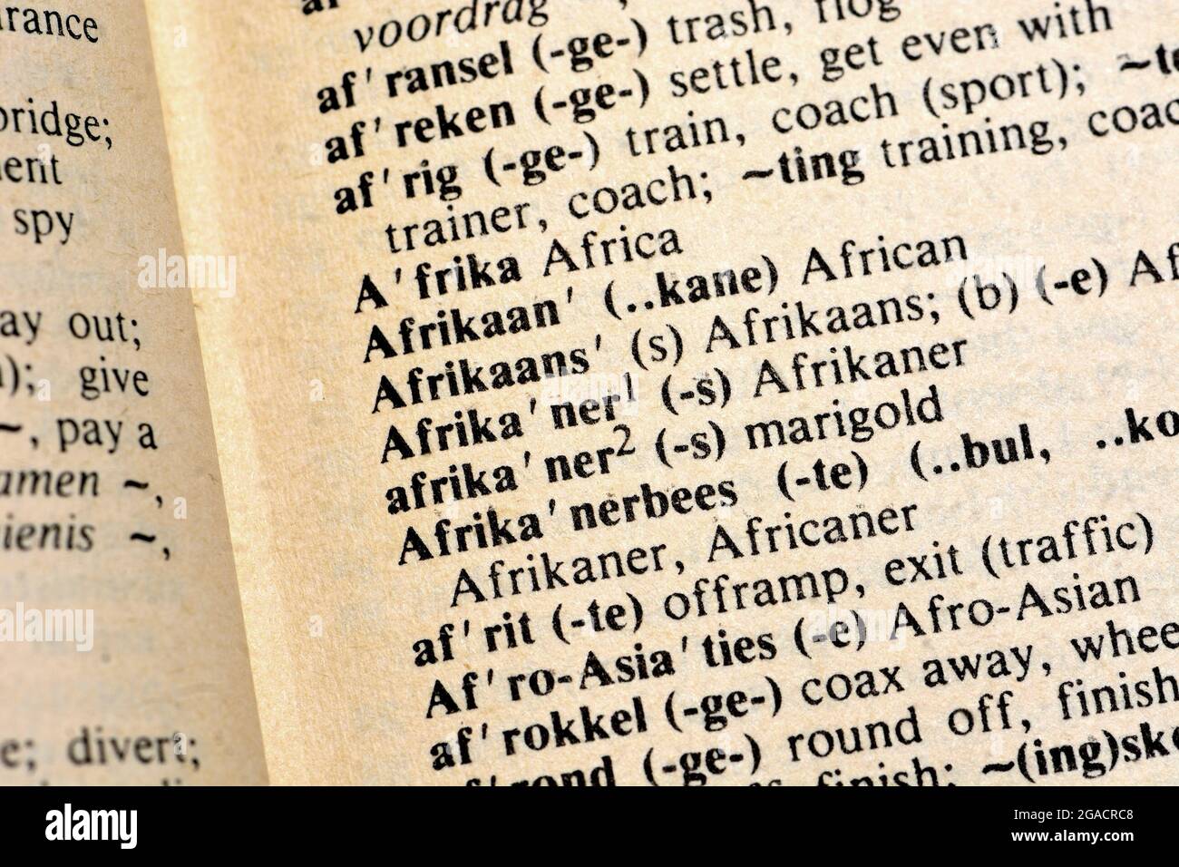 Afikaans / Afrikaner translated in an Afrikaans-English dictionary Stock Photo