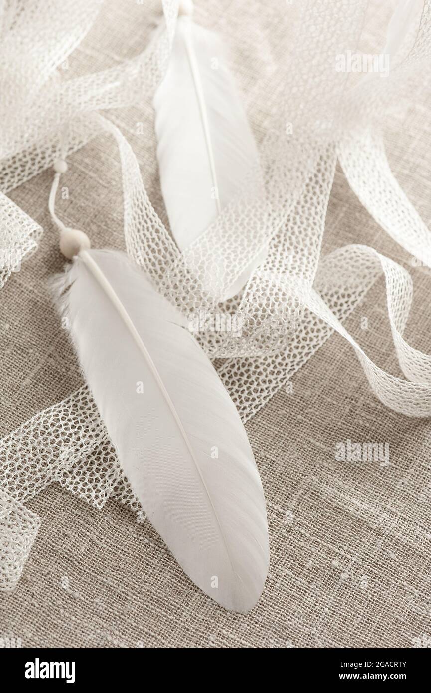 Feather boho decoration hi-res stock photography and images - Alamy