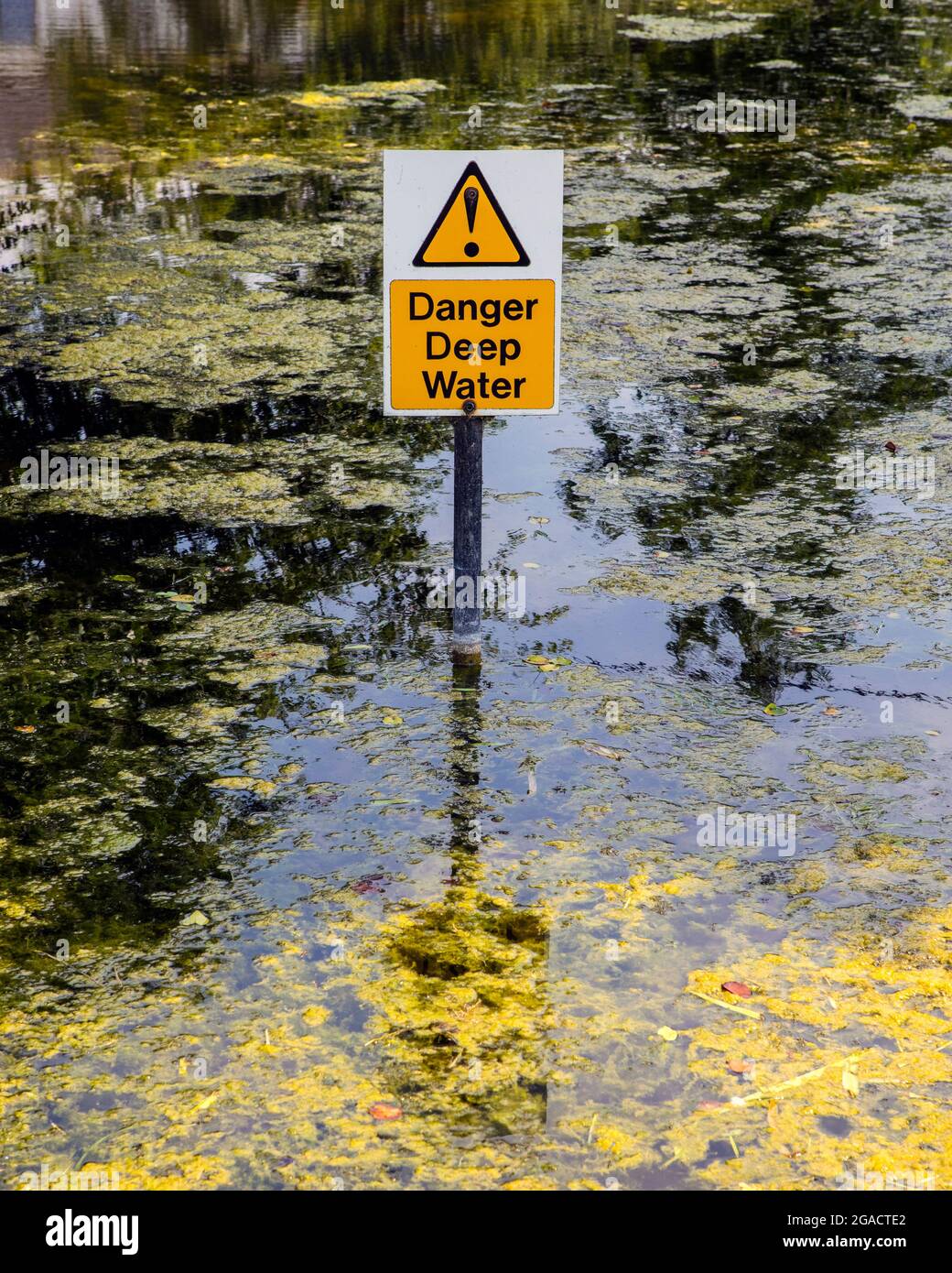 Danger Deep Water sign in a pond Stock Photo Alamy