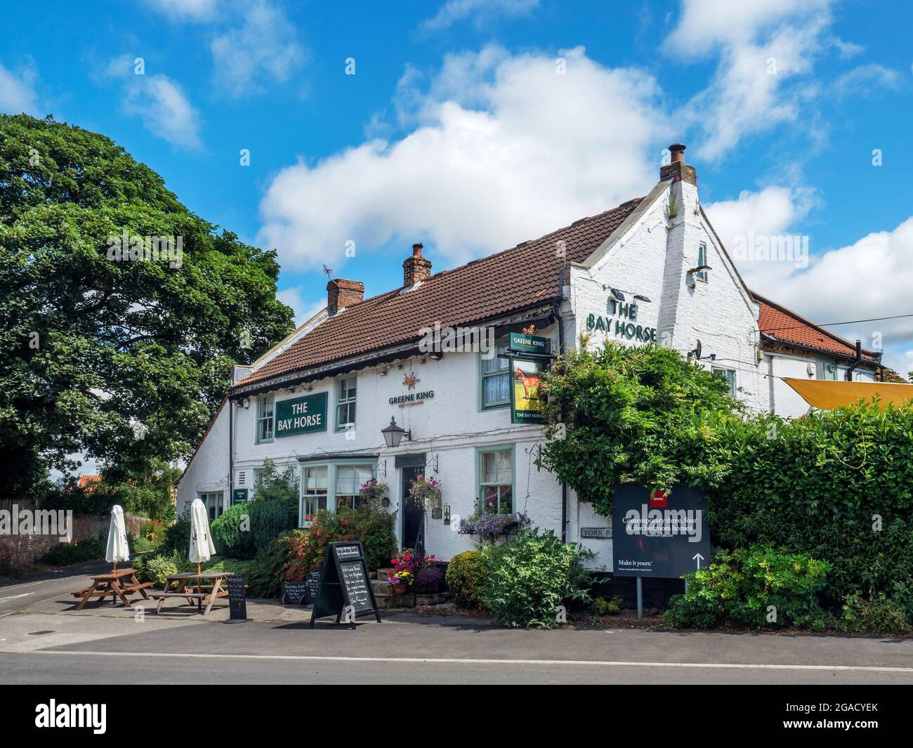 The Bay Horse a Greene King pub in the village of Green Hammerton North Yorkshire England Stock Photo