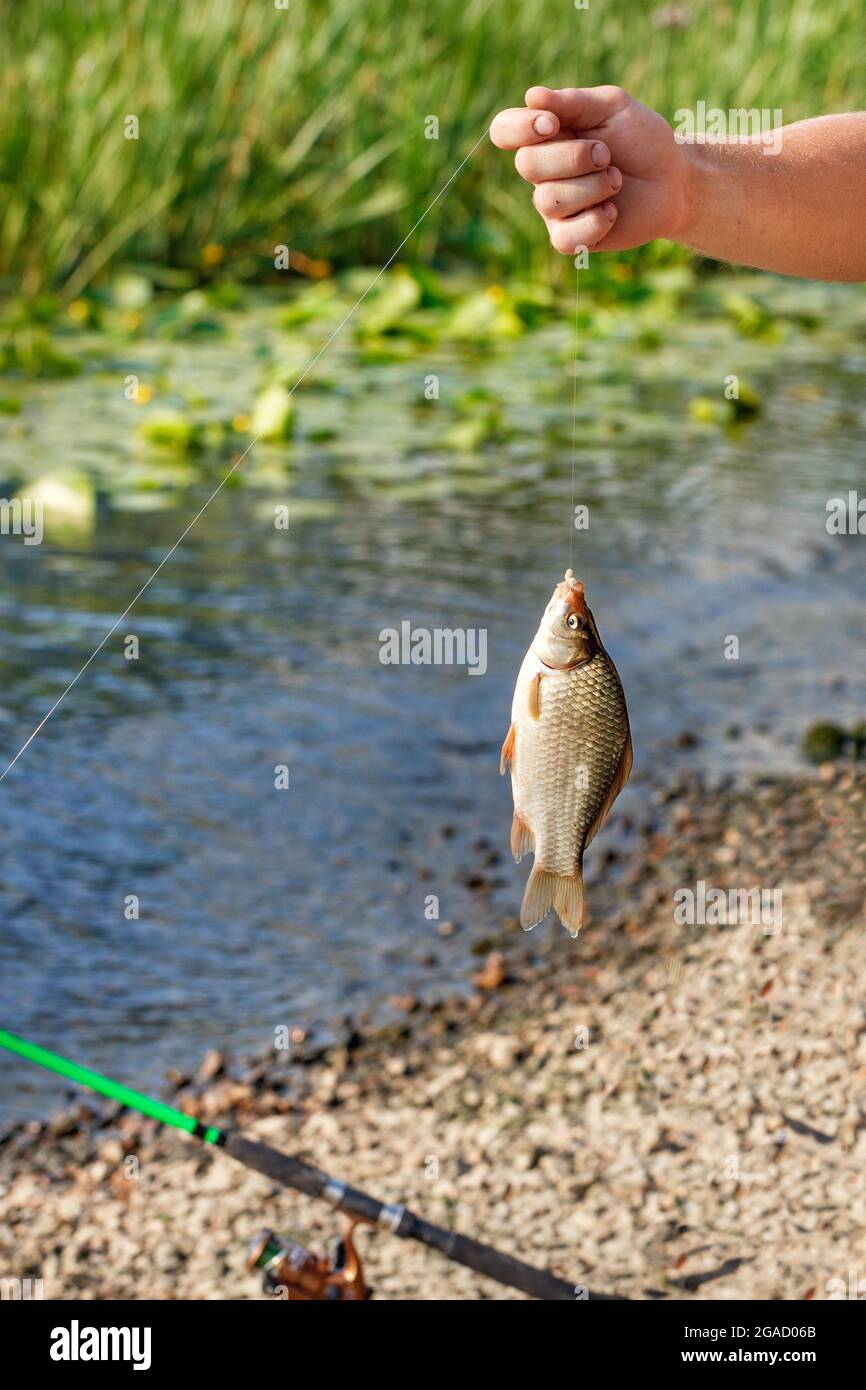 Fishermans pond hires stock photography and images Alamy
