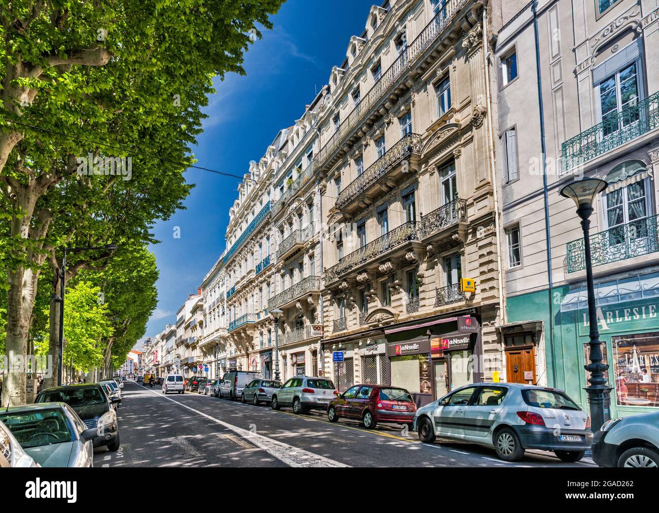 Maple trees, late 19th century tenement houses at Allees Paul Riquet, in Beziers, Herault department, Occitanie region, France Stock Photo