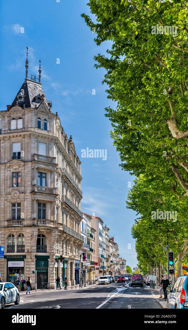 Maple trees, late 19th century tenement houses at Allees Paul Riquet, in Beziers, Herault department, Occitanie region, France Stock Photo