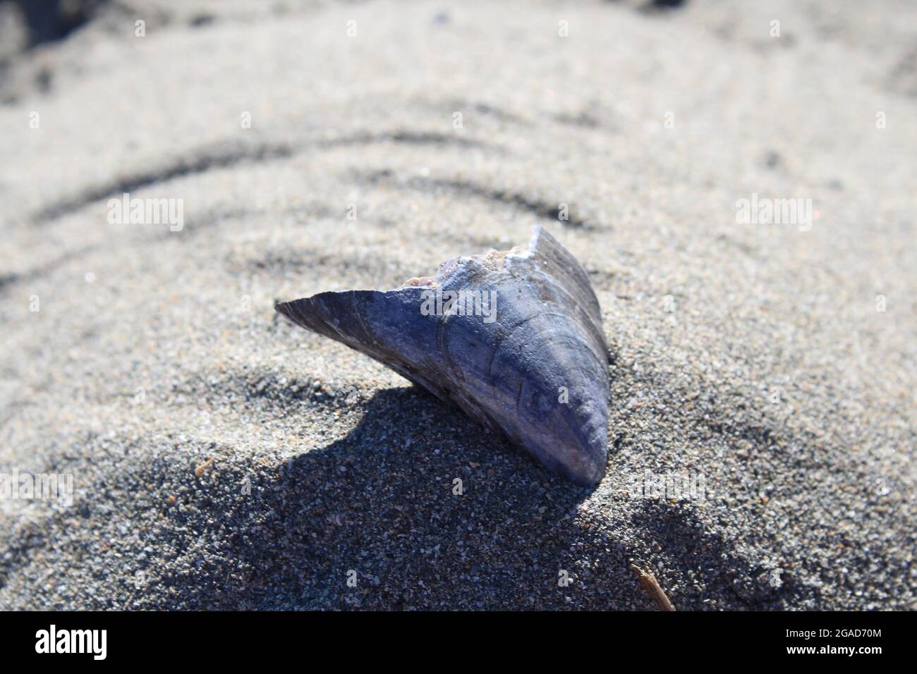 rocks gravel sand shell beach Stock Photo